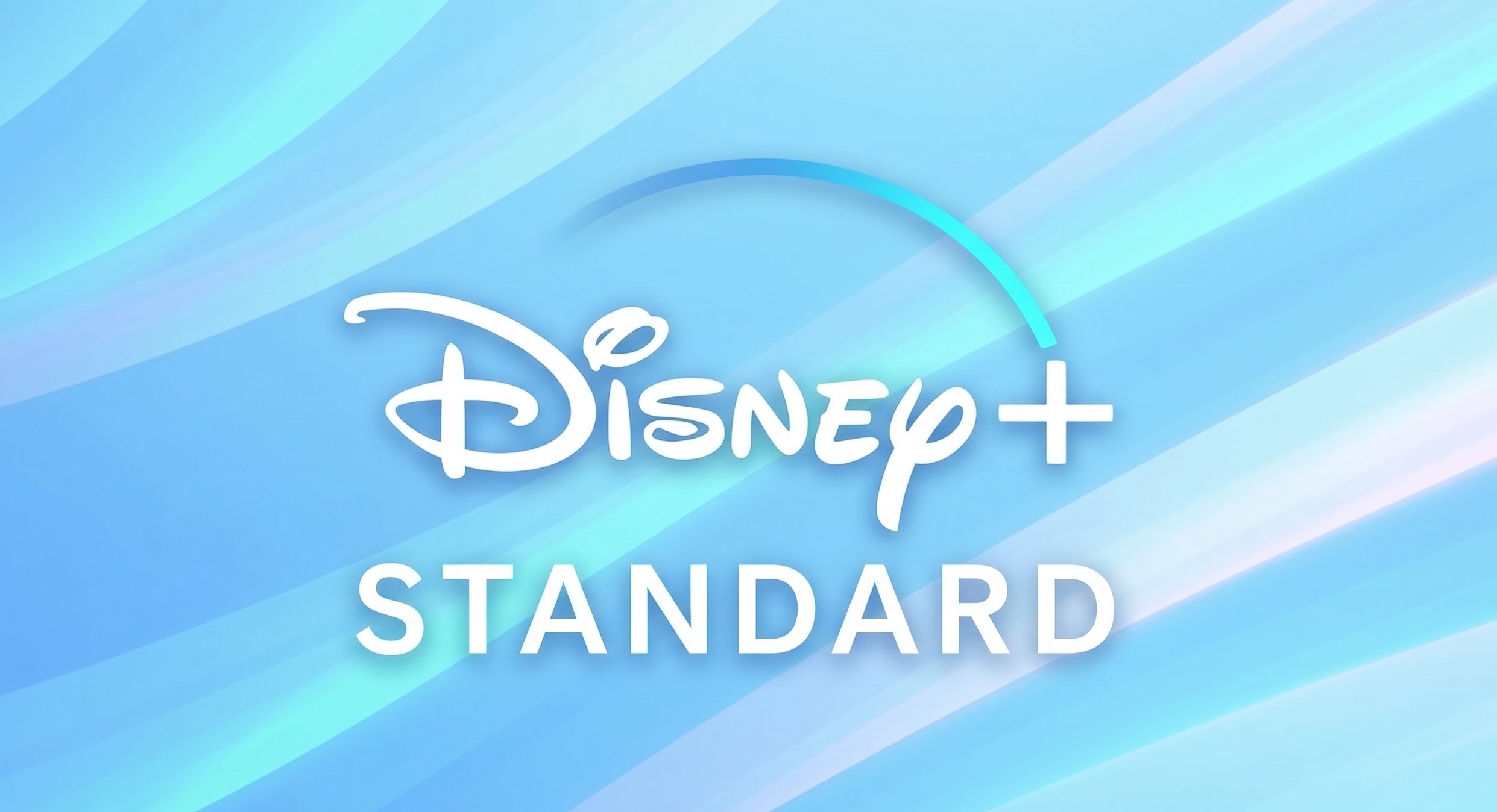 DISNEY STANDARD