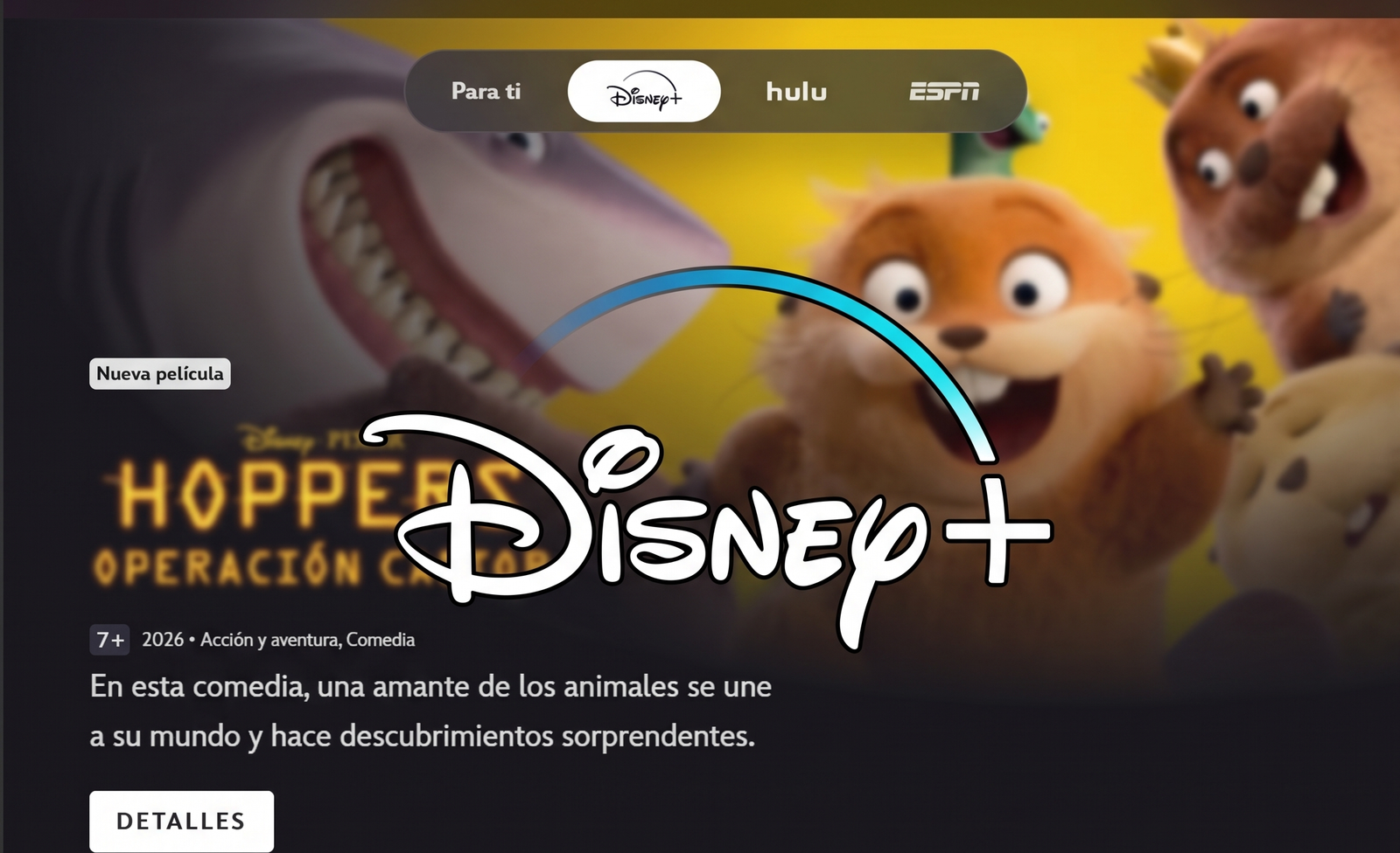 DISNEY STANDARD