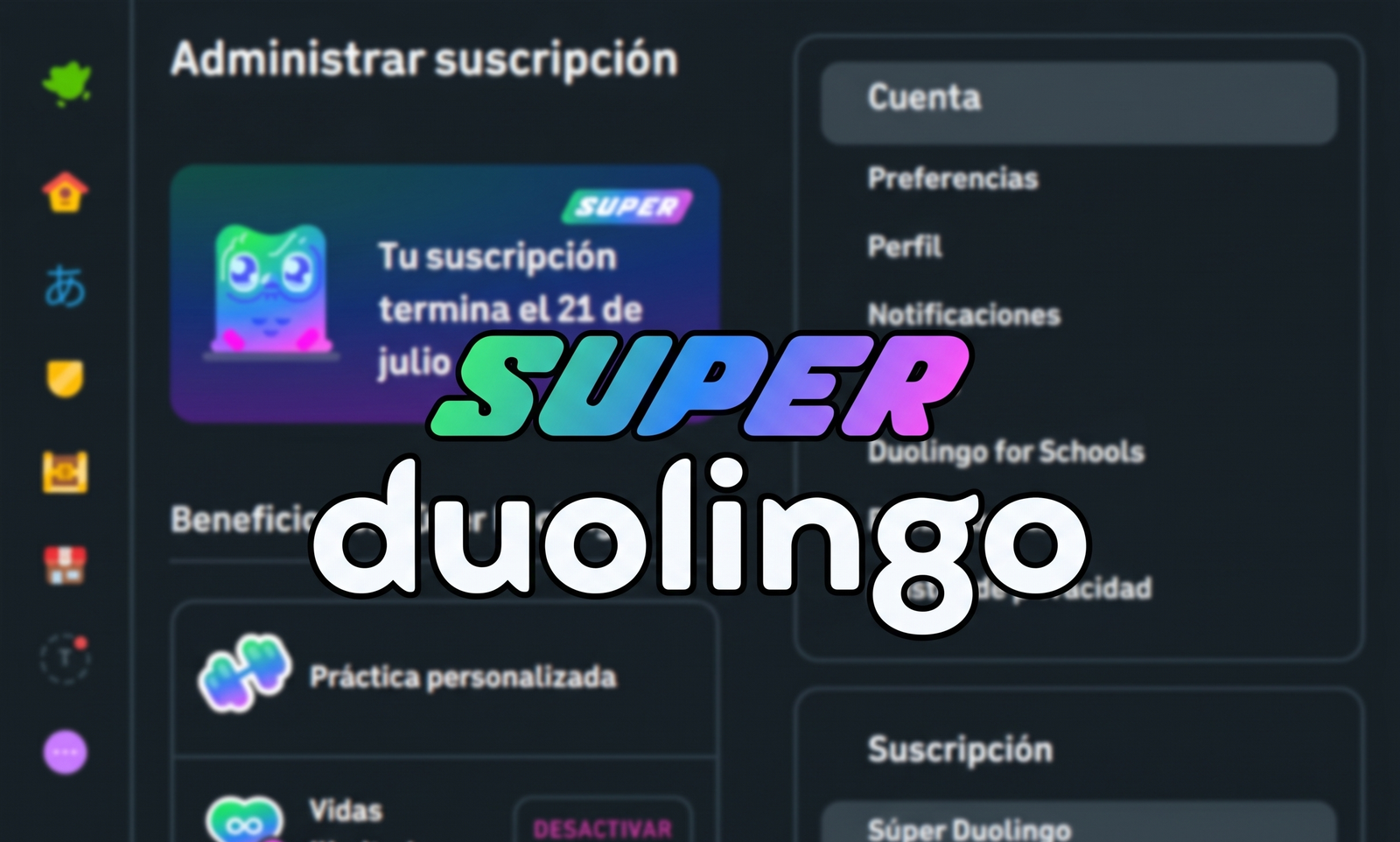 SUPER DUOLINGO
